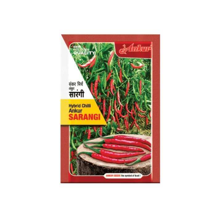 Ankur Sarangi Chilli Seeds | F1 Hybrid | Buy Online at Best Price