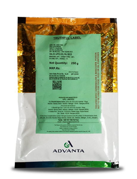 Raadhika Bhindi Seeds - Advanta | F1 Hybrid | Buy Online at Best Price