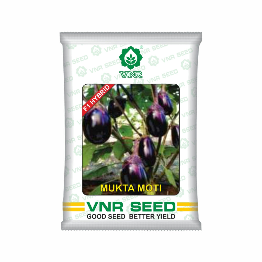 Mukta Moti Brinjal Seeds - VNR | F1 Hybrid | Buy Online at Best Price