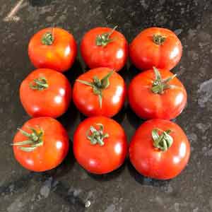 Bangalore Red Tomato Seeds - Fito | F1 Hybrid | Buy Online at Best Price