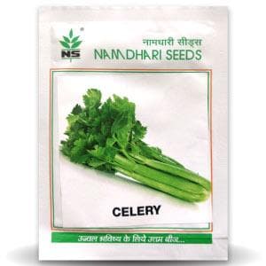 Ns 10100 Celery Green Seeds - Namdhari | F1 Hybrid | Buy Online at Best Price