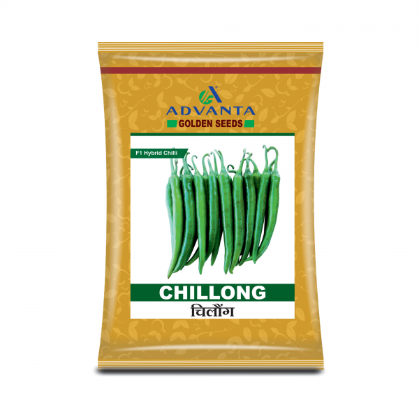 Chillong Chilli Seeds - Advanta | F1 Hybrid | Buy Online at Best Price