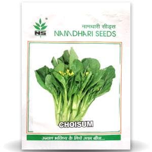 Choisum (Choy sum) Seeds - Namdhari | F1 Hybrid | Buy Online at Best Price