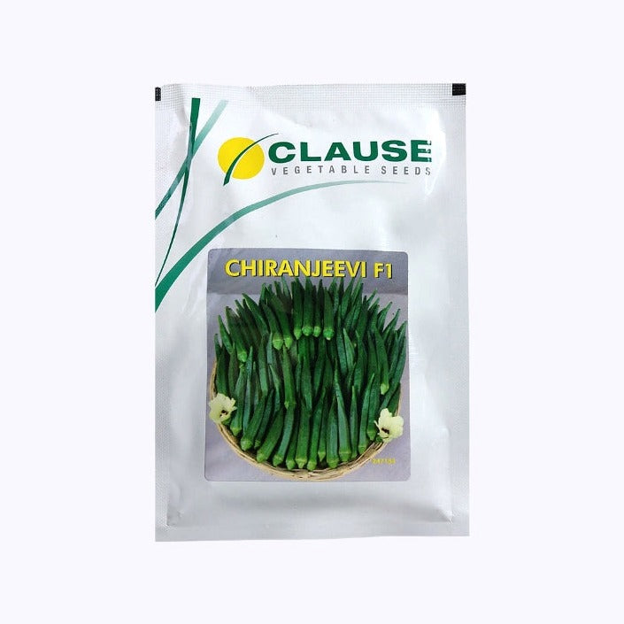 Chiranjeevi Okra Seeds - HM Clause | F1 Hybrid | Buy Online Now