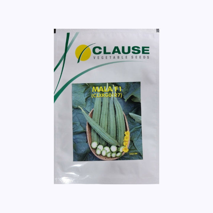 Mala Ridge Gourd Seeds - HM Clause | F1 Hybrid | Buy Online Now