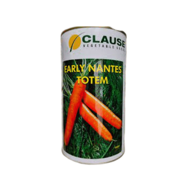 Early Nantes Totem Carrot Seeds - HM Clause | Buy Online at Best Price