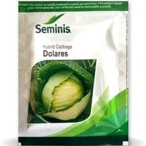 Dolares Cabbage Seeds - Seminis | F1 Hybrid | Buy Online At Best Price