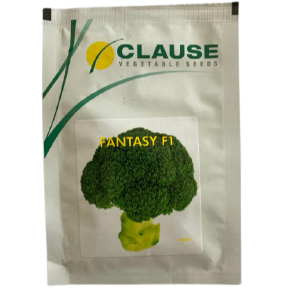 Fantasy Broccoli Seeds - HM Clause | F1 Hybrid | Buy Online Now