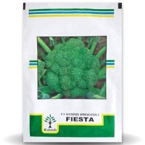 Fiesta Broccoli - Kalash | F1 Hybrid | Buy Online at Best Price