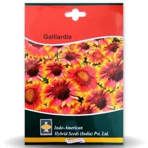 Gaillardia Seeds -Indo American | F1 Hybrid | Buy Online at Best Price