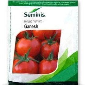 Ganesh Tomato Seeds - Seminis | F1 Hybrid | Buy Online at Best Price