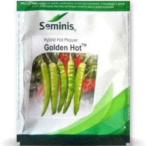Golden Hot Chilli Seeds - Seminis | F1 Hybrid | Buy Online Now