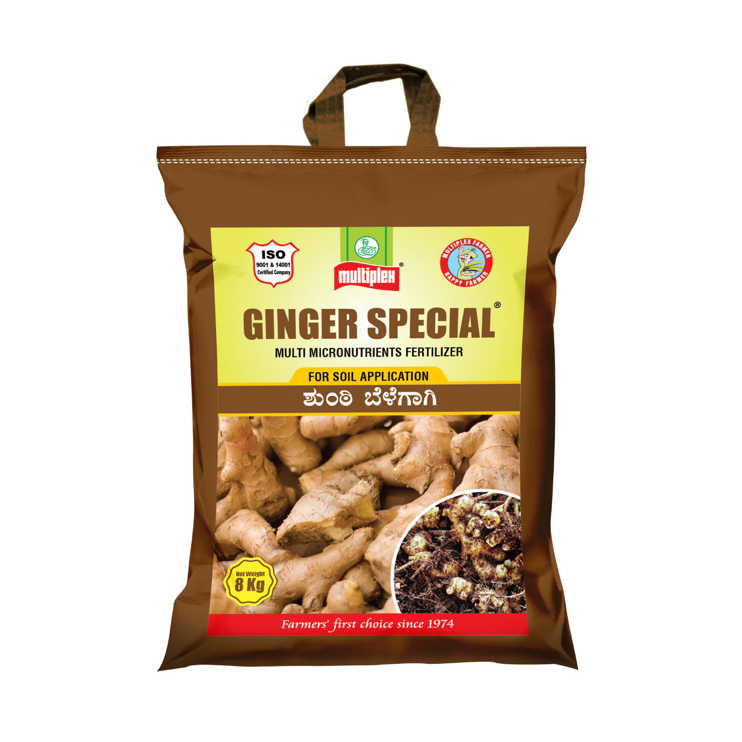 Ginger Special - Multiplex | Buy Online at Best Price - DesiKheti