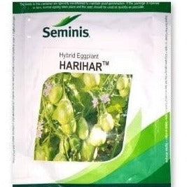 Harihar Brinjal Seeds - Seminis | F1 Hybrid | Buy Online at Best Price