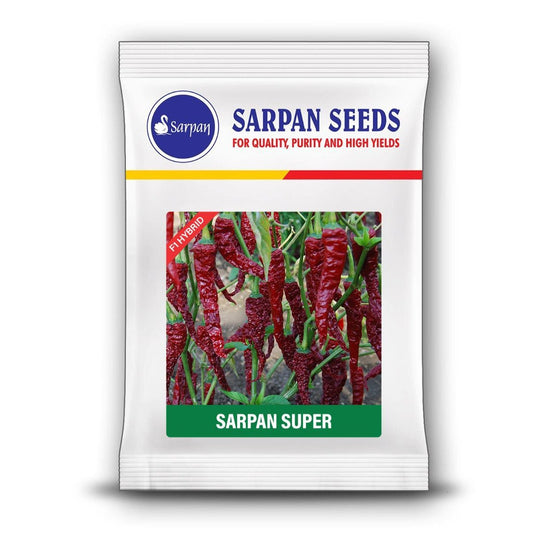 Sarpan Super Chilli seeds | F1 Hybrid | Buy Online at Best Price