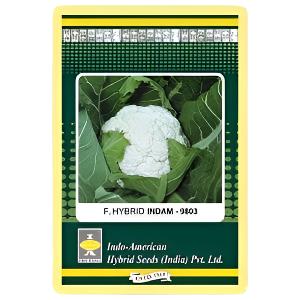 Indam 9803 Cauliflower Seeds - Indo American | F1 Hybrid | Buy Online at Best Price