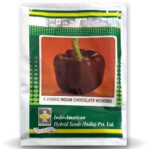 ndam Chocolate Wonder Capsicum Seeds - Indo American | F1 Hybrid | Buy Online at Best Price