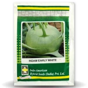 Indam Early White Knol Khol Seeds - Indo American | F1 Hybrid | Buy Online at Best Price