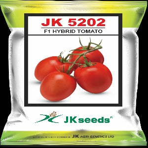 JKTH 5202 Tomato Seeds | F1 Hybrid | Buy Online at Best Price