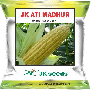 JK Ati Madhur Sweetcorn Seeds | F1 Hybrid | Buy Online at Best Price