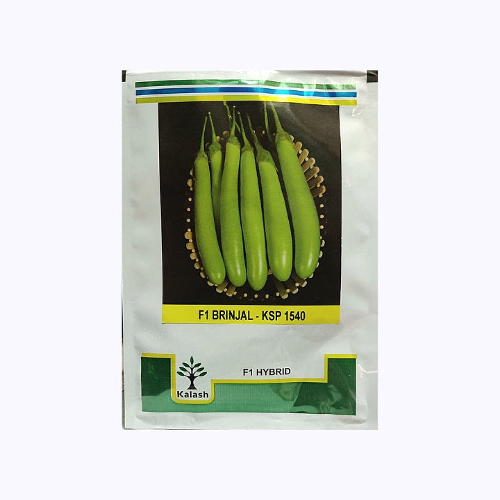 KPS 1540 Brinjal Seeds - Kalash | F1 Hybrid | Buy Online at Best Price ...