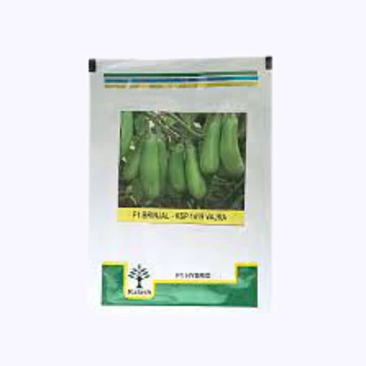 Vajra (KSP 1419) Brinjal Seeds - Kalash | F1 Hybrid | Buy Online Now