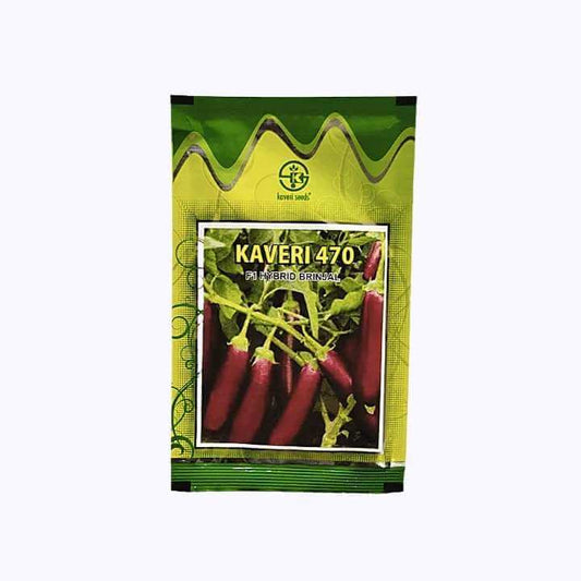 Kaveri 470 Brinjal Seeds | F1 Hybrid | Buy Online at Best Price