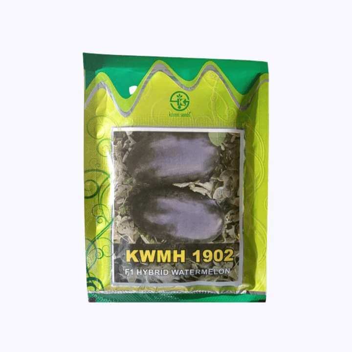 KWMH 1902 Watermelon Seeds - Kaveri | F1 Hybrid | Buy Online Now