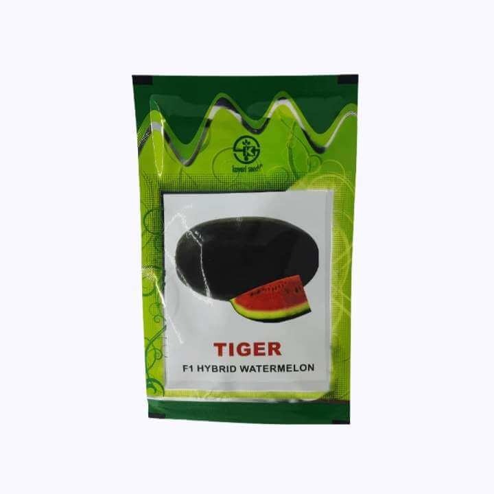 KWMH Tiger Watermelon Seeds - Kaveri | F1 Hybrid | Buy Online Now