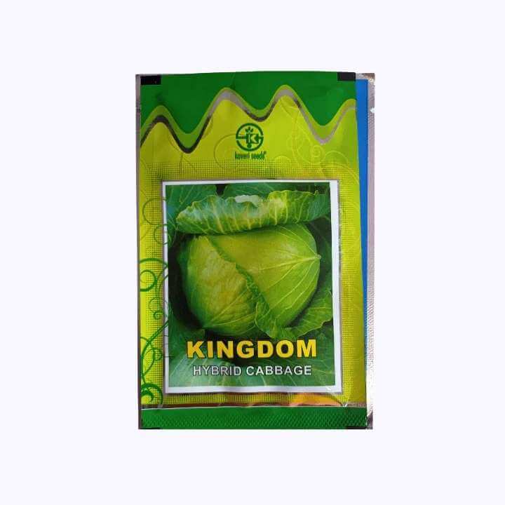 Kingdom Cabbage Seeds - Kaveri | F1 Hybrid | Buy Online at Best Price