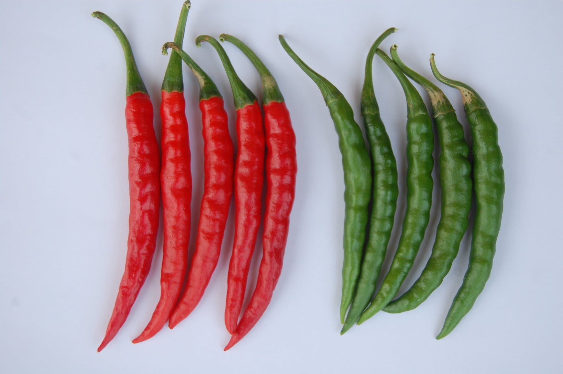 LCH-99 Chilli Seeds - Leadbeter | F1 Hybrid | Buy Online at Best Price