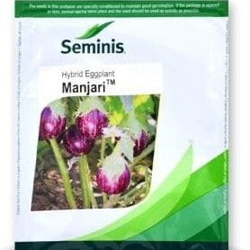 Manjari Brinjal Seeds - Seminis | F1 Hybrid | Buy Online at Best Price