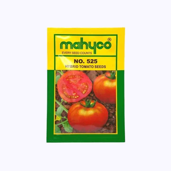 No. 525 Tomato Seeds - Mahyco | F1 Hybrid | Buy Online at Best Price