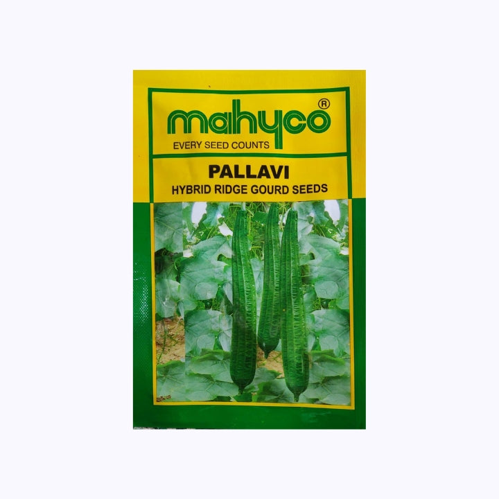 Pallavi Ridge Gourd Seeds - Mahyco | F1 Hybrid | Buy Online Now