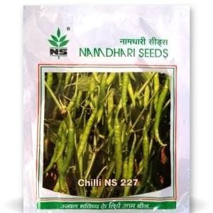 NS 227 Chilli Seeds - Namdhari | F1 Hybrid | Buy Online at Best Price