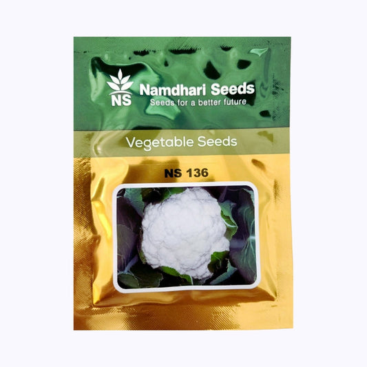 NS 136 Cauliflower Seeds - Namdhari | F1 Hybrid | Buy Online Now