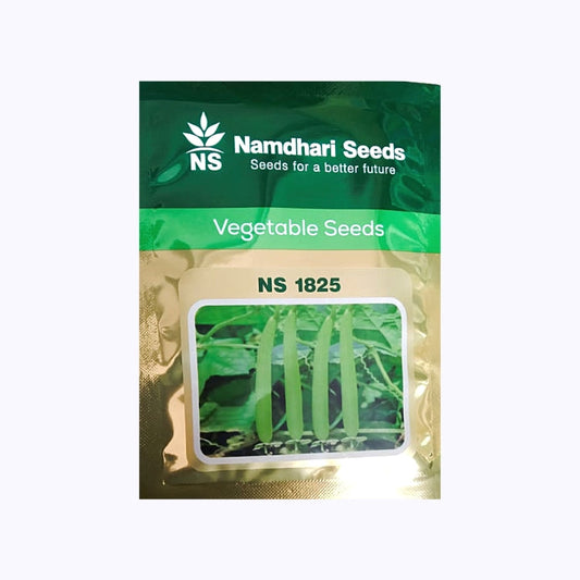 NS 1825 Sponge Gourd Seeds - Namdhari | F1 Hybrid | Buy Online Now