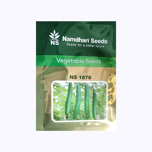 NS 1878 Sponge Gourd Seeds -Namdhari | F1 Hybrid | Buy Online Now