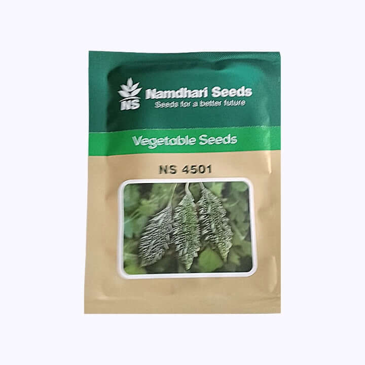 NS 4501 Bitter Gourd Seeds - Namdhari | F1 Hybrid | Buy Online at Best Price