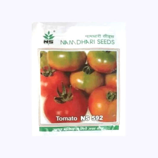 NS 592 Tomato Seeds - Namdhari | F1 Hybrid | Buy Online at Best Price