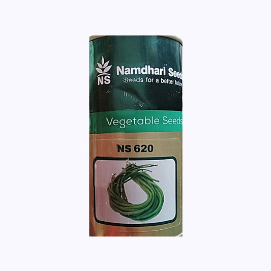 NS 620 Cowpea Seeds - Namdhari | F1 Hybrid | Buy Online at Best Price