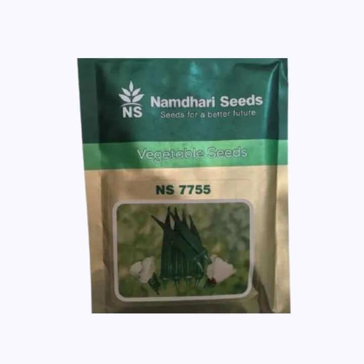 NS 7755 Bhindi Seeds - Namdhari | F1 Hybrid | Buy Online at Best Price