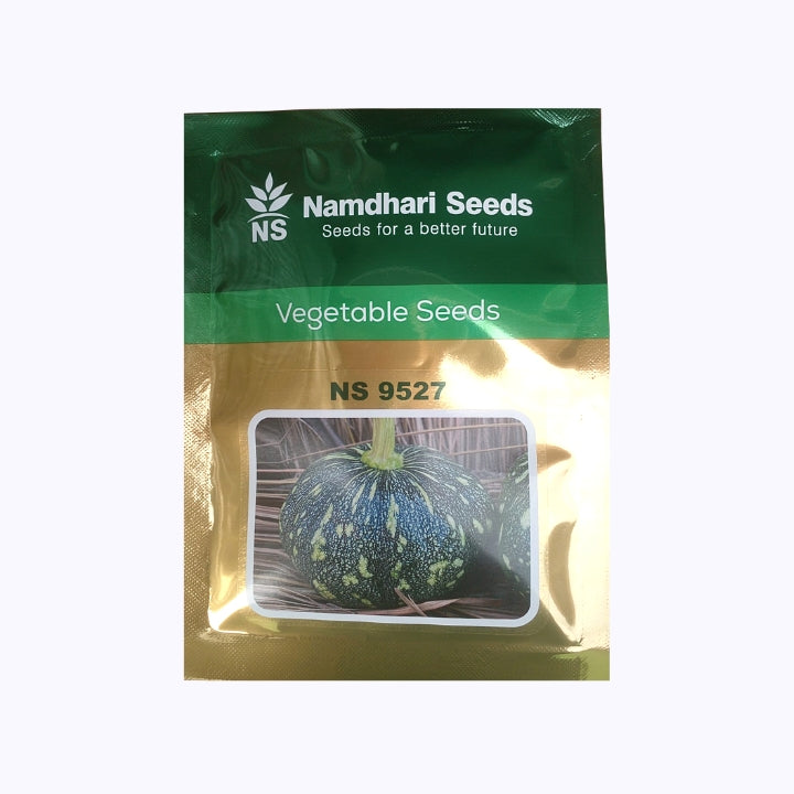 NS-9527 Pumpkin Seeds -Namdhari | F1 Hybrid | Buy Online at Best Price