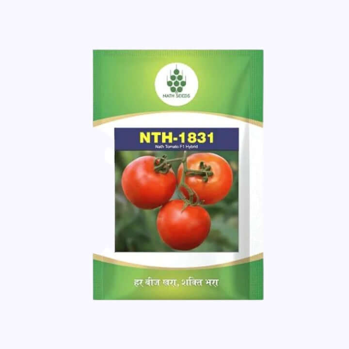 NTH-1831 Tomato Seeds - Nath | F1 Hybrid | Buy Online at Best Price