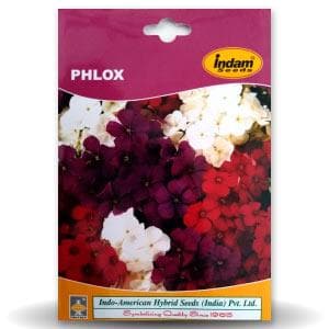 Phlox seeds - Indo American | F1 Hybrid | Buy Online at Best Price
