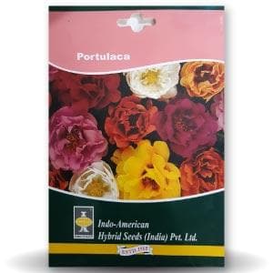 Portulaca Seeds - Indo American | F1 Hybrid | Buy Online at Best Price