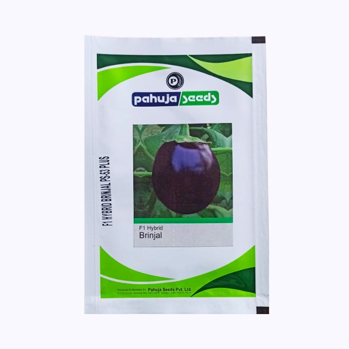 PS-53 Plus Brinjal Seeds - Pahuja | F1 Hybrid | Buy Online at Best Price