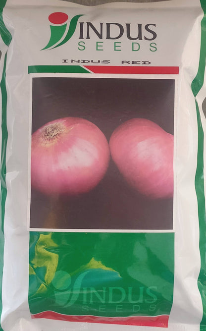 Indus Red Onion Seeds | F1 Hybrid | Buy Online at Best Price