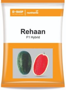 Rehaan Watermelon Seeds - Nunhems | F1 Hybrid | Buy Online at Best Price