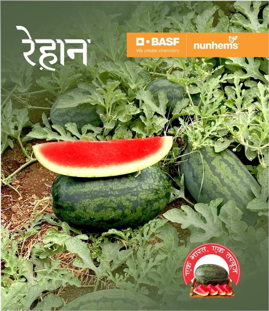 Rehaan Watermelon Seeds - Nunhems | F1 Hybrid | Buy Online at Best Price